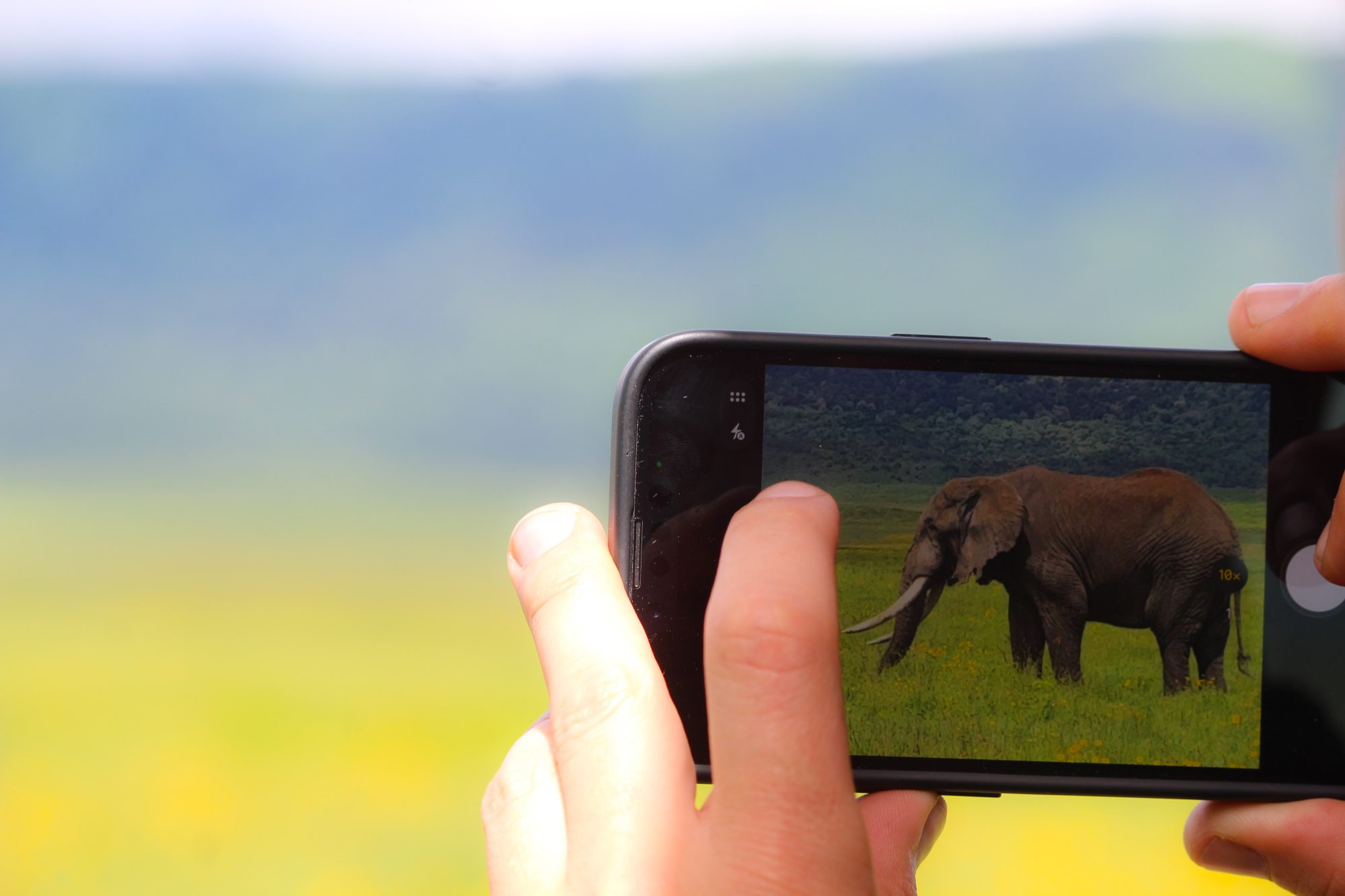 5-Day Family Safari Adventure
