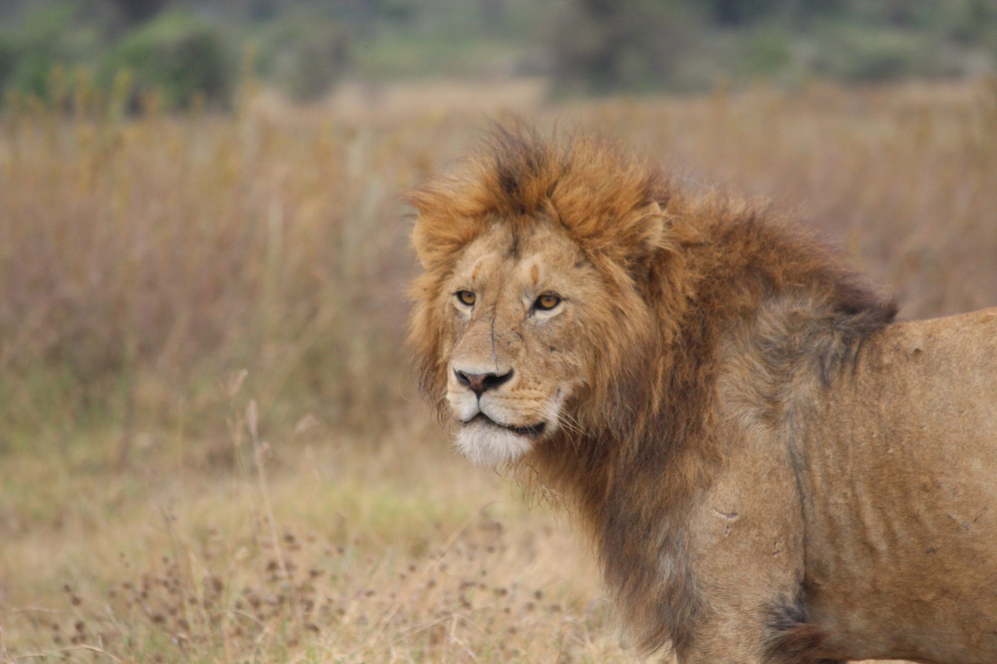8-Day Nyerere & Ruaha Wilderness Safari