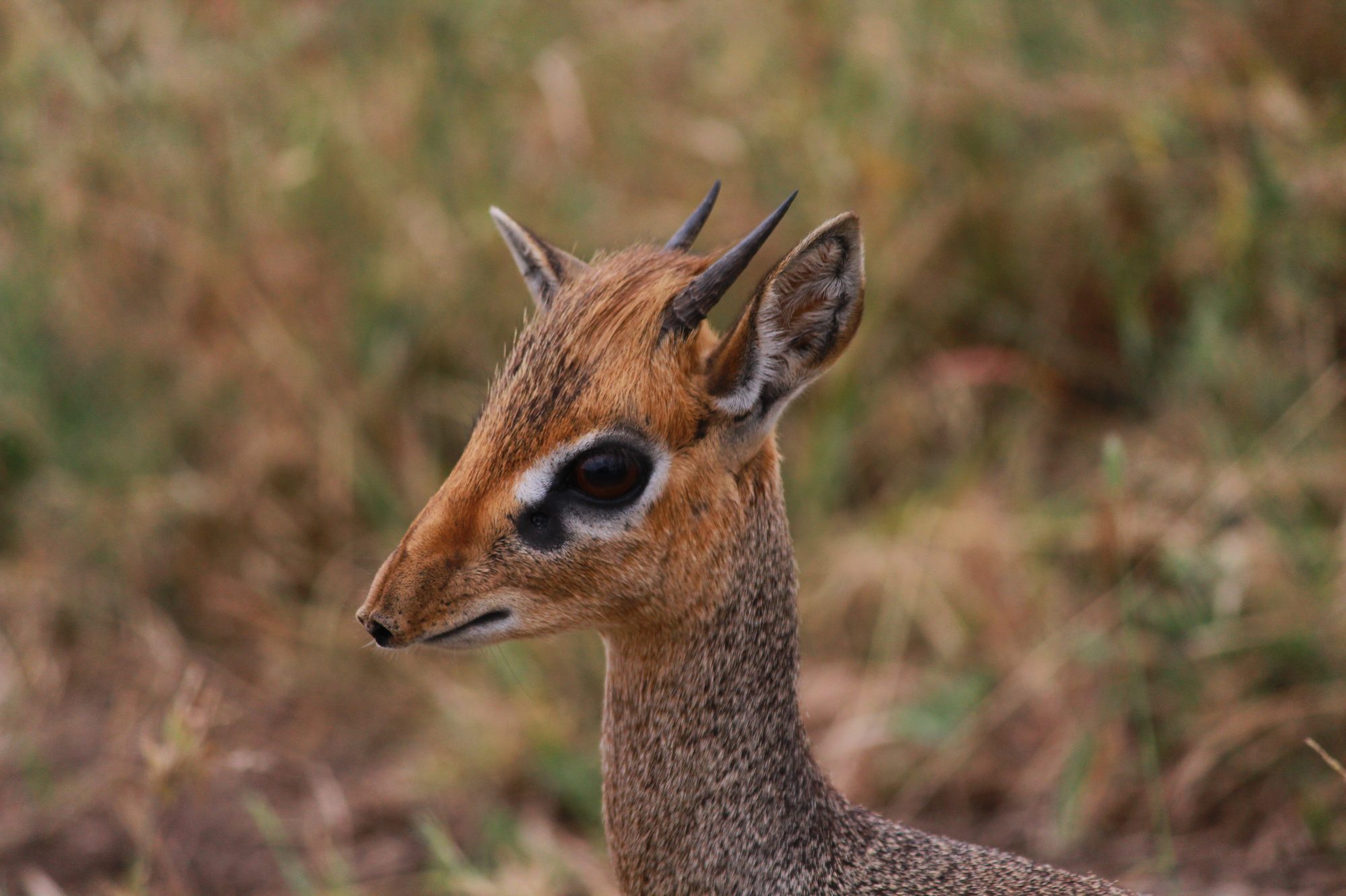 Arusha National Park
