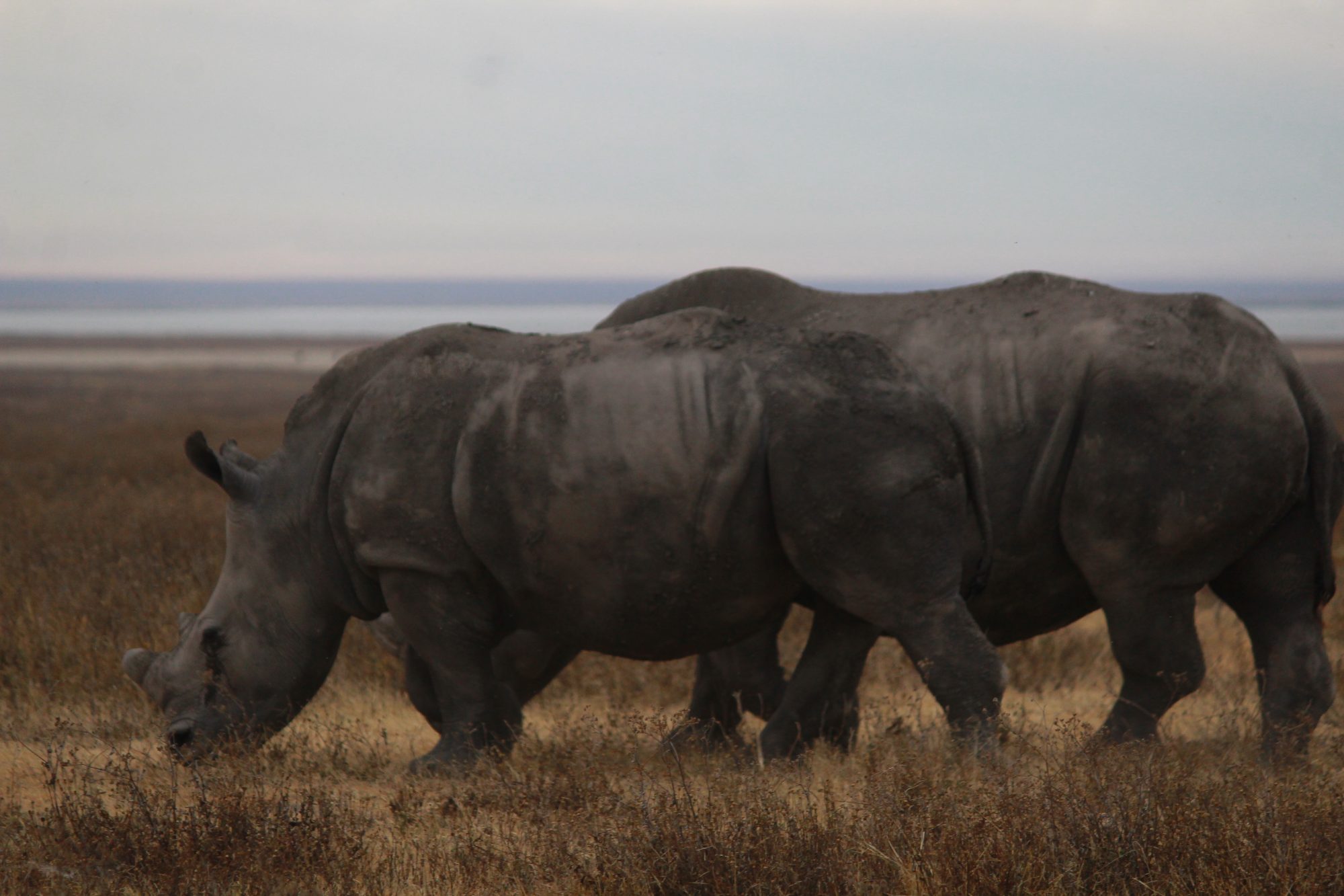 Lake Manyara National Park